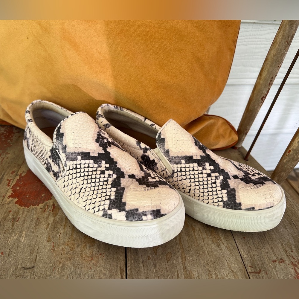 steve Madden Gills slip on sneakers.